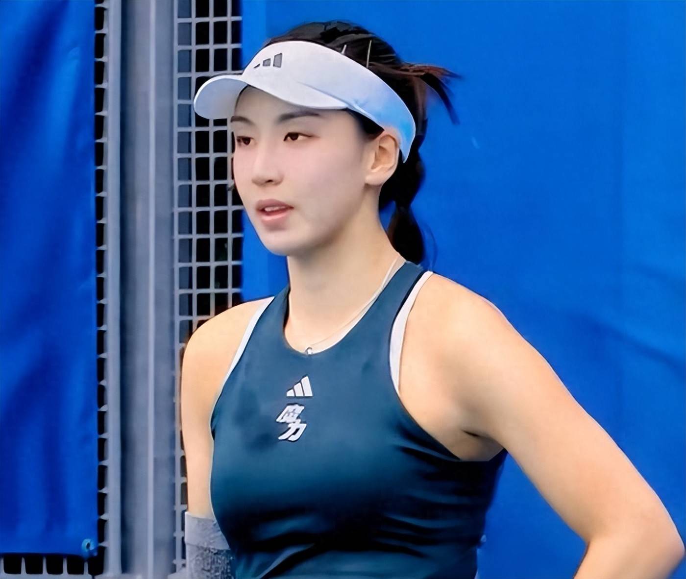 布的文件 布的文件